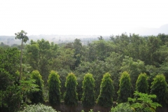 GO-IMG_1463