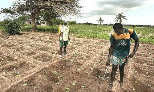 Africa